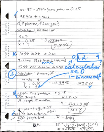 screenshot of Marta's student homework 1